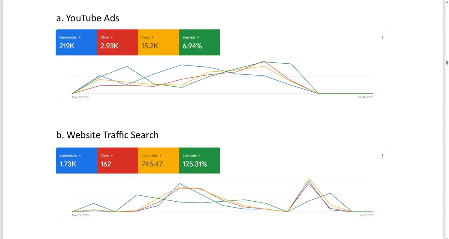 Google Ads Campaign - Ad Performance